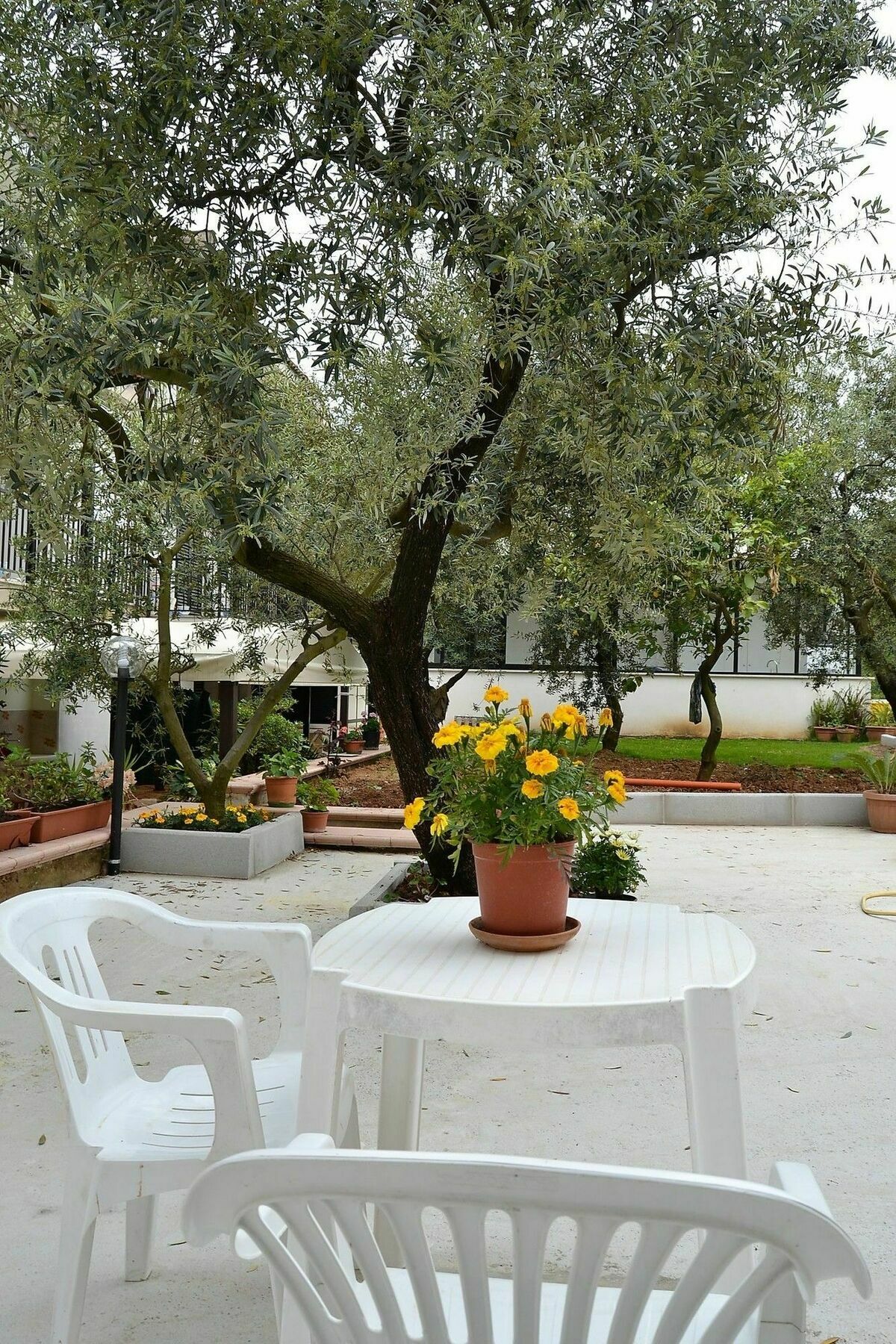 Il Girasole Formia Guesthouse Rooms Exterior foto